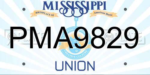 PMA9829 Mississippi License Plate