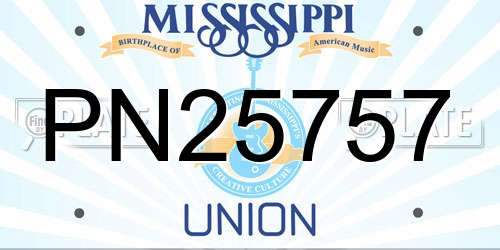 PN25757 Mississippi License Plate