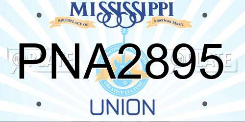 PNA2895 Mississippi License Plate