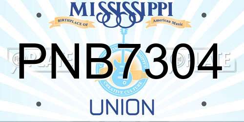 PNB7304 Mississippi License Plate