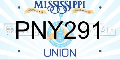 PNY291 Mississippi License Plate