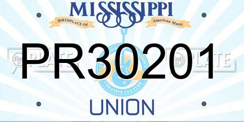 PR30201 Mississippi License Plate