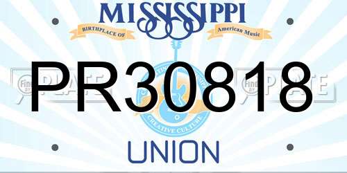 PR30818 Mississippi License Plate