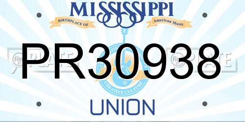 PR30938 Mississippi License Plate