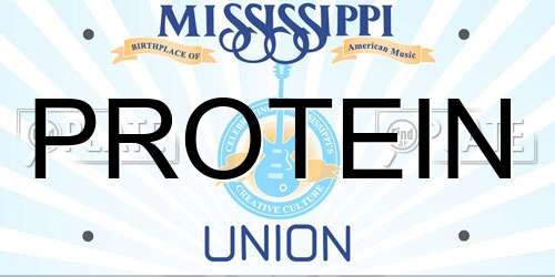 PROTEIN Mississippi License Plate