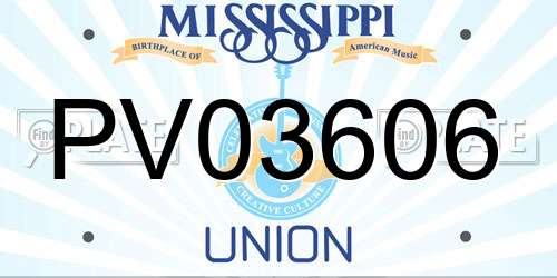 PV03606 Mississippi License Plate