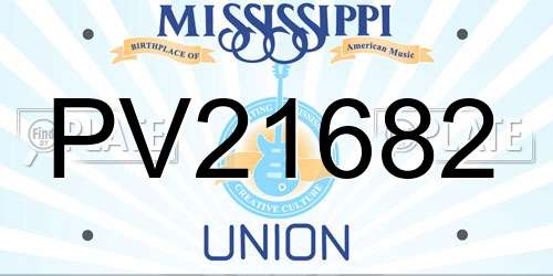 PV21682 Mississippi License Plate