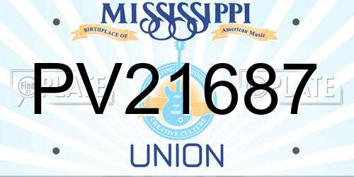 PV21687 Mississippi License Plate