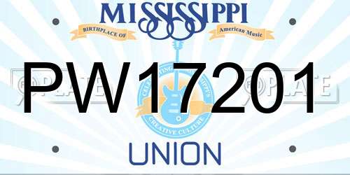 PW17201 Mississippi License Plate