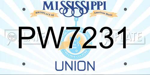 PW7231 Mississippi License Plate