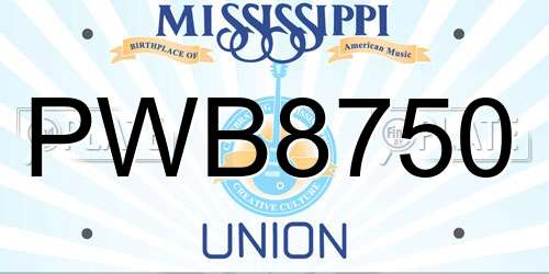 PWB8750 Mississippi License Plate