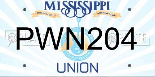 PWN204 Mississippi License Plate