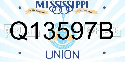 Q13597B Mississippi License Plate