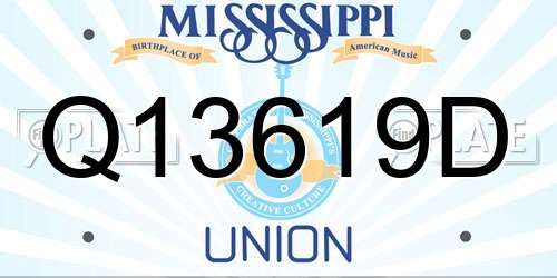 Q13619D Mississippi License Plate