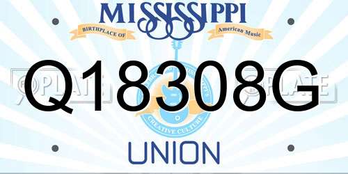 Q18308G Mississippi License Plate