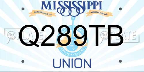 Q289TB Mississippi License Plate