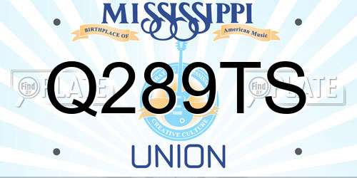 Q289TS Mississippi License Plate