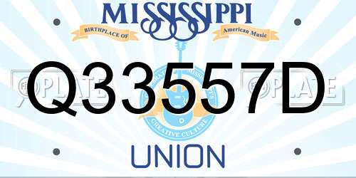 Q33557D Mississippi License Plate