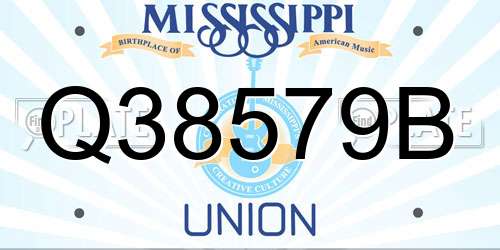 Q38579B Mississippi License Plate