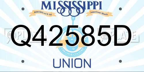 Q42585D Mississippi License Plate