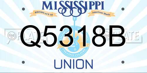 Q5318B Mississippi License Plate