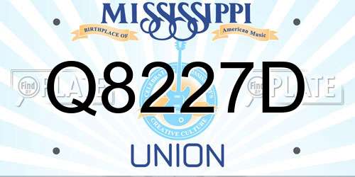 Q8227D Mississippi License Plate