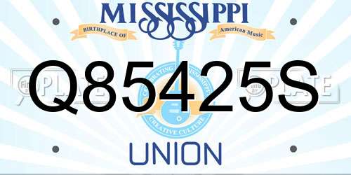 Q85425S Mississippi License Plate