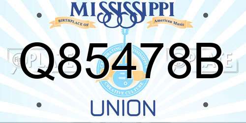Q85478B Mississippi License Plate