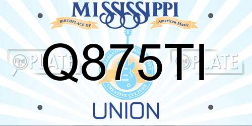 Q875TI Mississippi License Plate