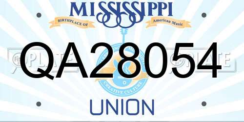 QA28054 Mississippi License Plate