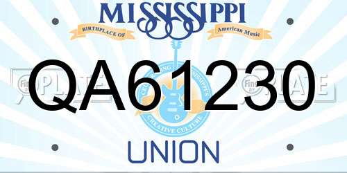 QA61230 Mississippi License Plate