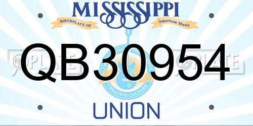 QB30954 Mississippi License Plate