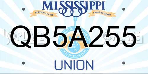 QB5A255 Mississippi License Plate