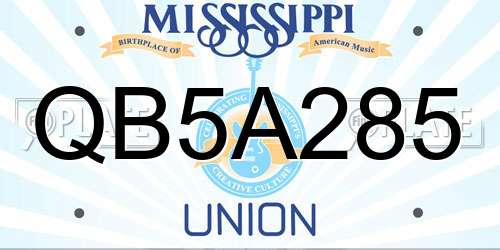 QB5A285 Mississippi License Plate