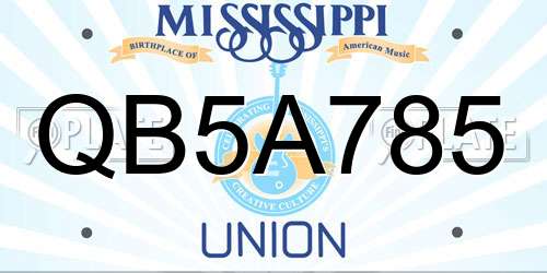 QB5A785 Mississippi License Plate