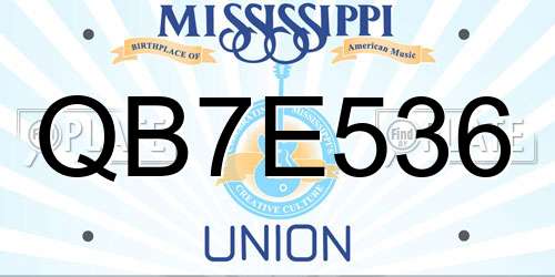 QB7E536 Mississippi License Plate