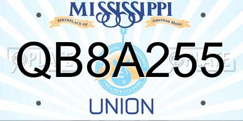 QB8A255 Mississippi License Plate