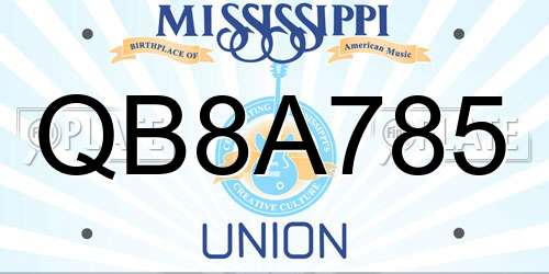 QB8A785 Mississippi License Plate