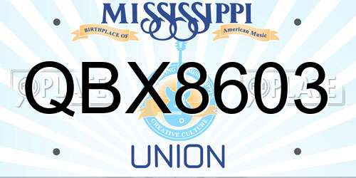QBX8603 Mississippi License Plate