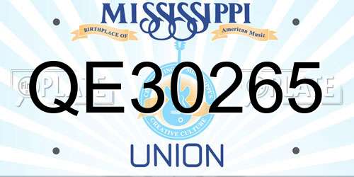 QE30265 Mississippi License Plate