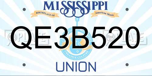 QE3B520 Mississippi License Plate