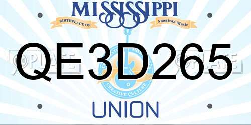 QE3D265 Mississippi License Plate
