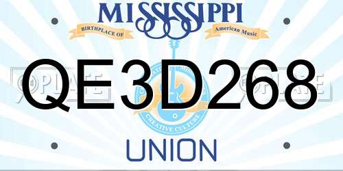 QE3D268 Mississippi License Plate
