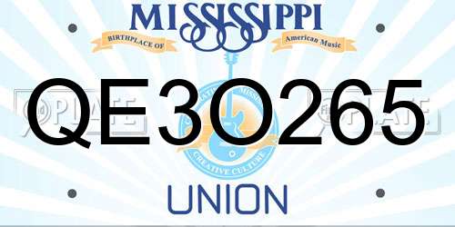 QE3O265 Mississippi License Plate