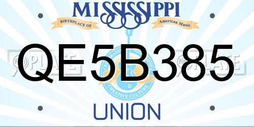 QE5B385 Mississippi License Plate