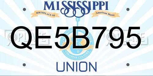 QE5B795 Mississippi License Plate