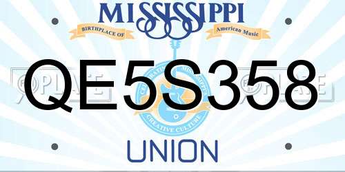 QE5S358 Mississippi License Plate