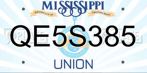 QE5S385 Mississippi License Plate