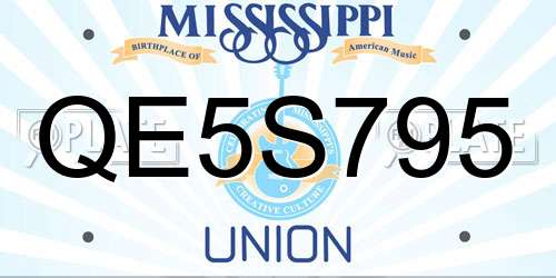 QE5S795 Mississippi License Plate