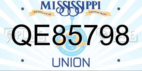 QE85798 Mississippi License Plate